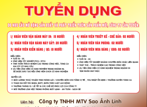 TUYỂN DỤNG NHIỀU VỊ TRÍ TẠI CÔNG TY TNHH MTV SAO ÁNH LINH – THU NHẬP ỔN ĐỊNH, CHẾ ĐỘ TỐT