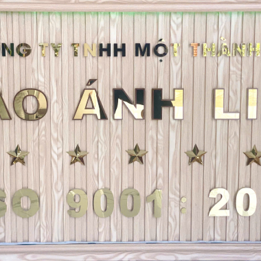 CÔNG TY TNHH MỘT THÀNH VIÊN SAO ÁNH LINH